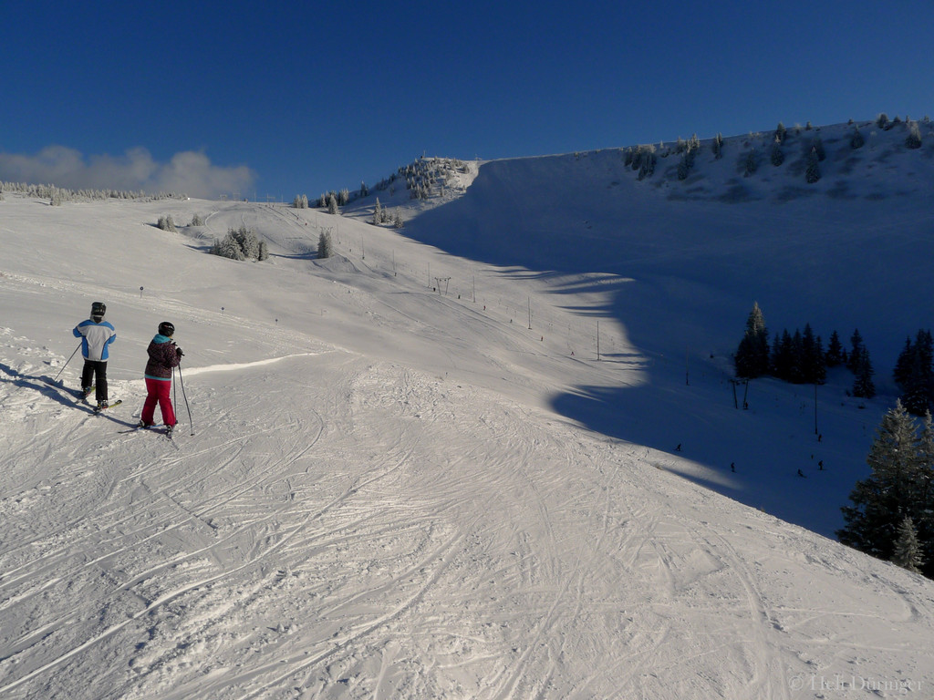 P1090167.JPG
