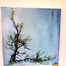 Foto-0079.jpg