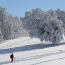 IBD1219-20140125.jpg