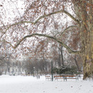 Schnee in Wien