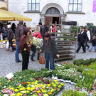 sm_gemeinde_ostern07_JPG-1270296394