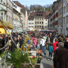 sm_gemeinde_ostern08_JPG-1270296408