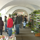 sm_gemeinde_ostern09_JPG-1270296419