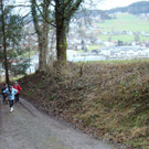 DSC03312A.jpg