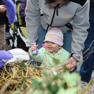 IMG_8475_Gr____enver__nderung_JPG-1270296866