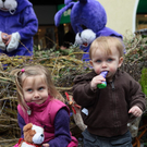 IMG_8489_Gr____enver__nderung_JPG-1270296884