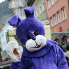 IMG_8497_Gr____enver__nderung_JPG-1270296893