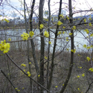 101_0412_jpg-1270302631