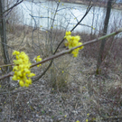 101_0421_jpg-1270302640