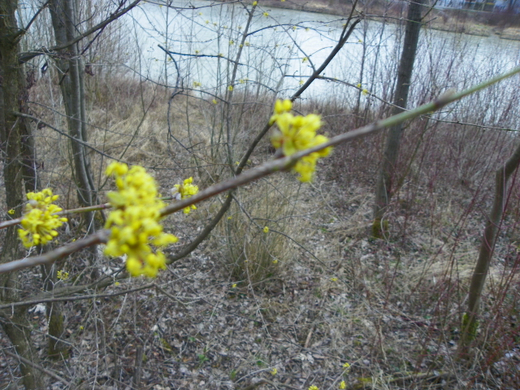 101_0421_jpg-1270302640