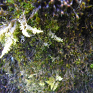 101_0450_jpg-1270302658