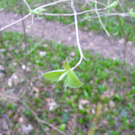101_0512_jpg-1270302704