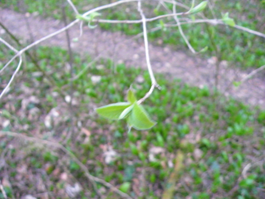 101_0512_jpg-1270302704