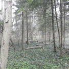 101_0518_jpg-1270302713