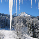 07.jpg