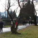 Landes-Winterwandertag