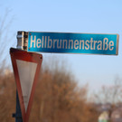 Hellbrunnestra__e_1.JPG