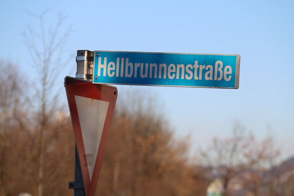 Hellbrunnestra__e_1.JPG