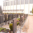 fredhof3.JPG