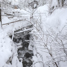 ABD0093-20140131.jpg