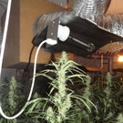 Bild 2 zu P10102.jpg