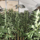 Bild 3 zu P1 0102.jpg