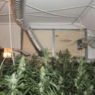 Bild 4 zu P1  0102.jpg