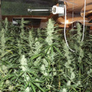 Bild 5 zu P10102.jpg