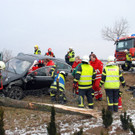 Schwerer Verkehrsunfall in Vösendorf: Pkw-Lenker (82) prallt gegen Baum