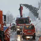 ABD0066-20140201.jpg