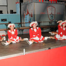 Prinzenparty 01-02-2014 82.jpg