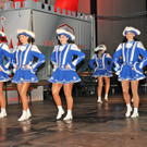 Prinzenparty 01-02-2014 166.jpg