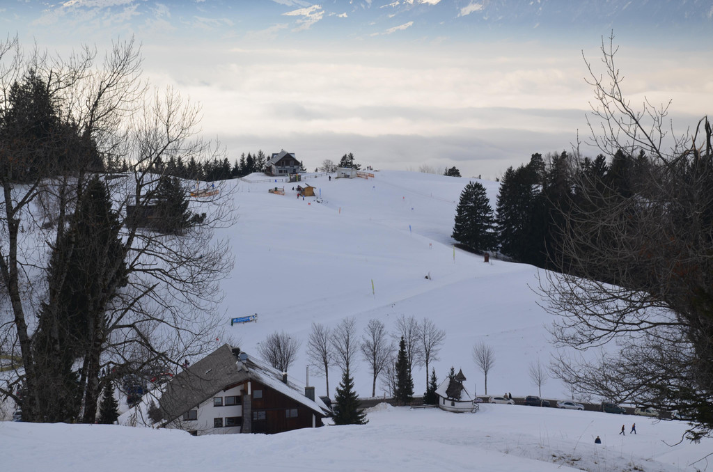 DSC_3671.JPG