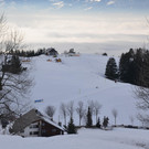 DSC_3671.JPG
