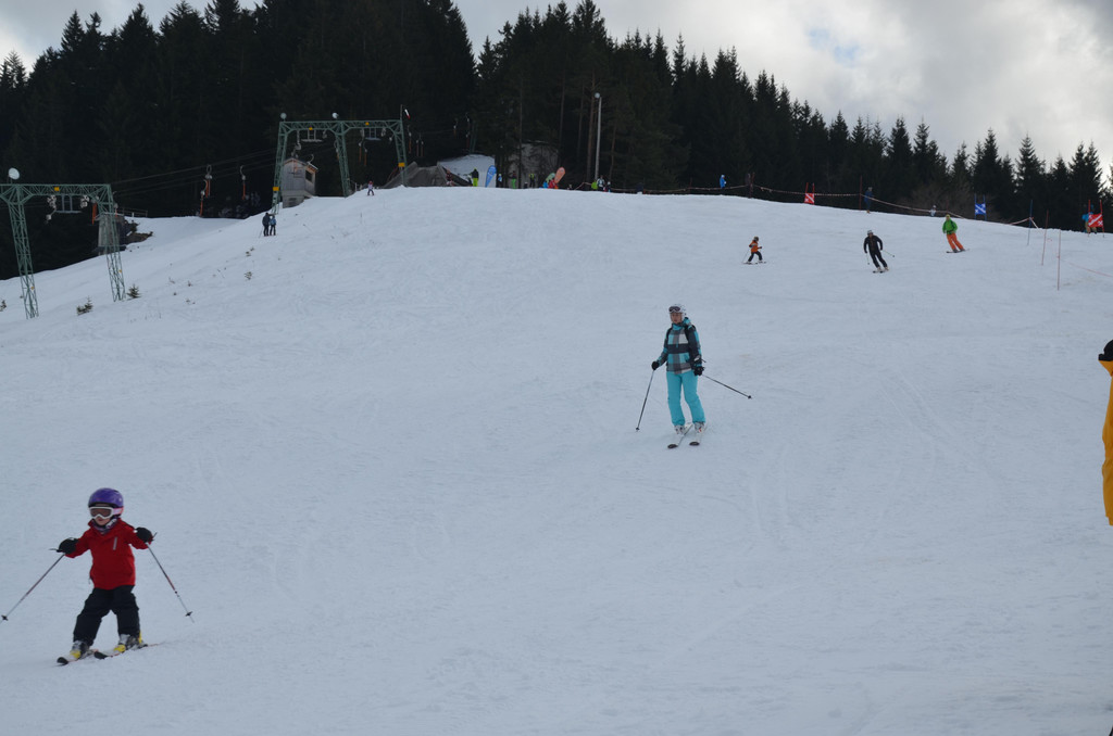 DSC_3712.JPG