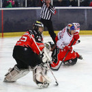 normal_20140201fmt_rbszno_ta_024.JPG