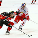 normal_20140201fmt_rbszno_ta_028.JPG