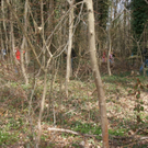 DSC01974_JPG-1270367312