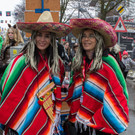 20140202_Umzug-Vandans_003.jpg