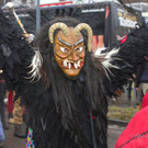 20140202_Umzug-Vandans_009.jpg