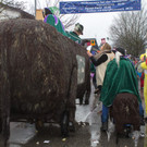 20140202_Umzug-Vandans_053.jpg