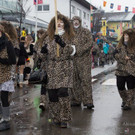20140202_Umzug-Vandans_077.jpg