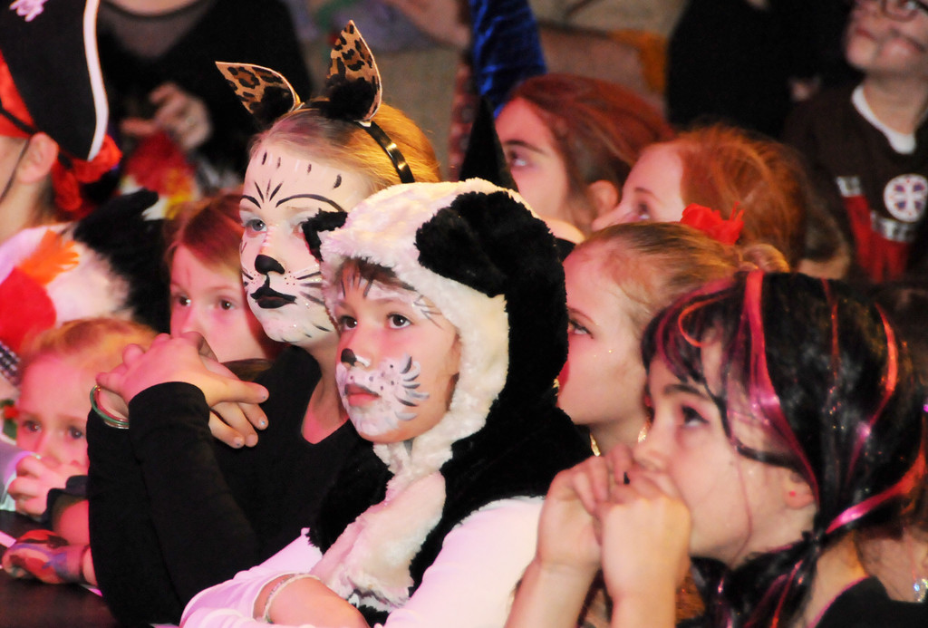 Kinderball 02-02-2014 28.jpg
