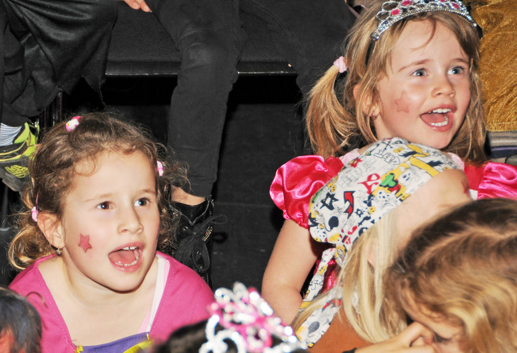 Kinderball 02-02-2014 155.jpg