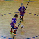 DSC02373.jpg