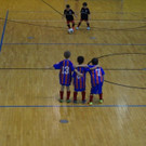 DSC02384.jpg