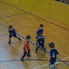 DSC02491.jpg