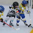 k-k-IMG_0727.JPG