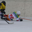 k-k-IMG_0928.JPG