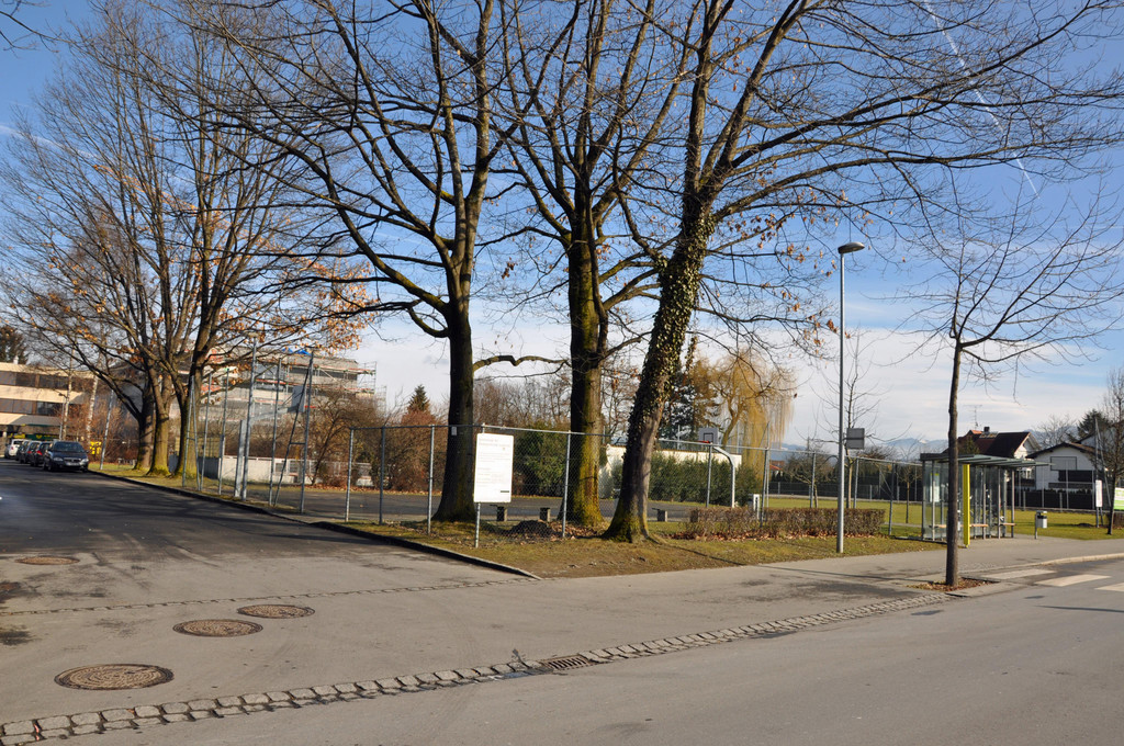DSC_0270.JPG
